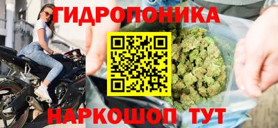 прущие крисы Балашиха