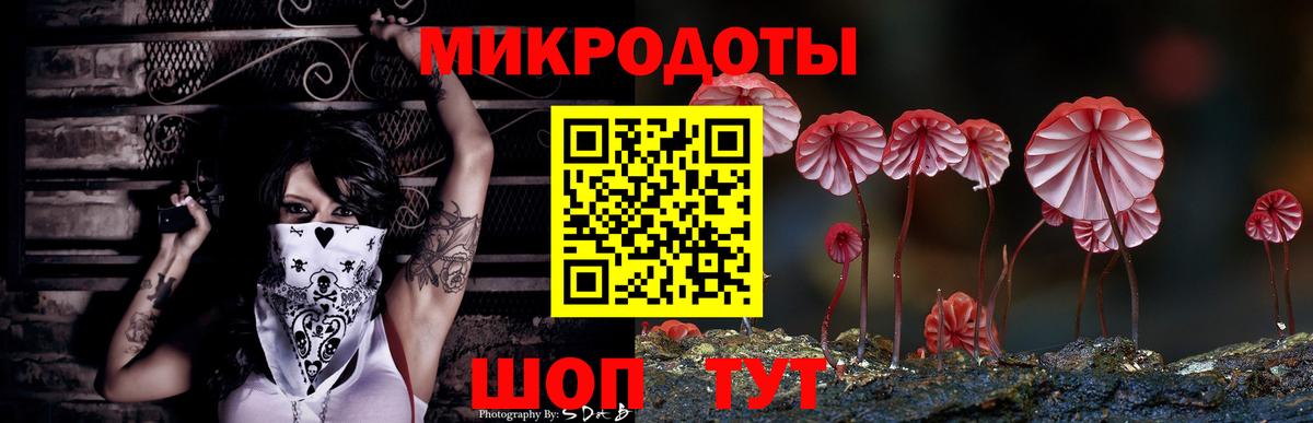 Псилоцибиновые грибы Cubensis  Псилоцибиновые грибы Magic Shrooms  дарнет шоп  Вход с VPN  Димитровград 
