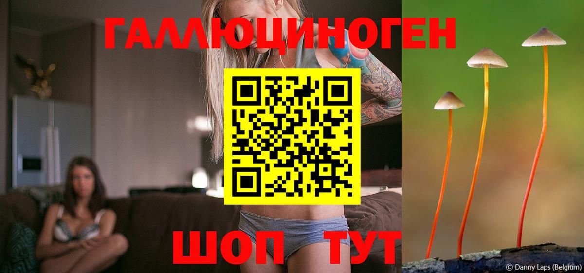 Галлюциногенные грибы GOLDEN TEACHER Димитровград